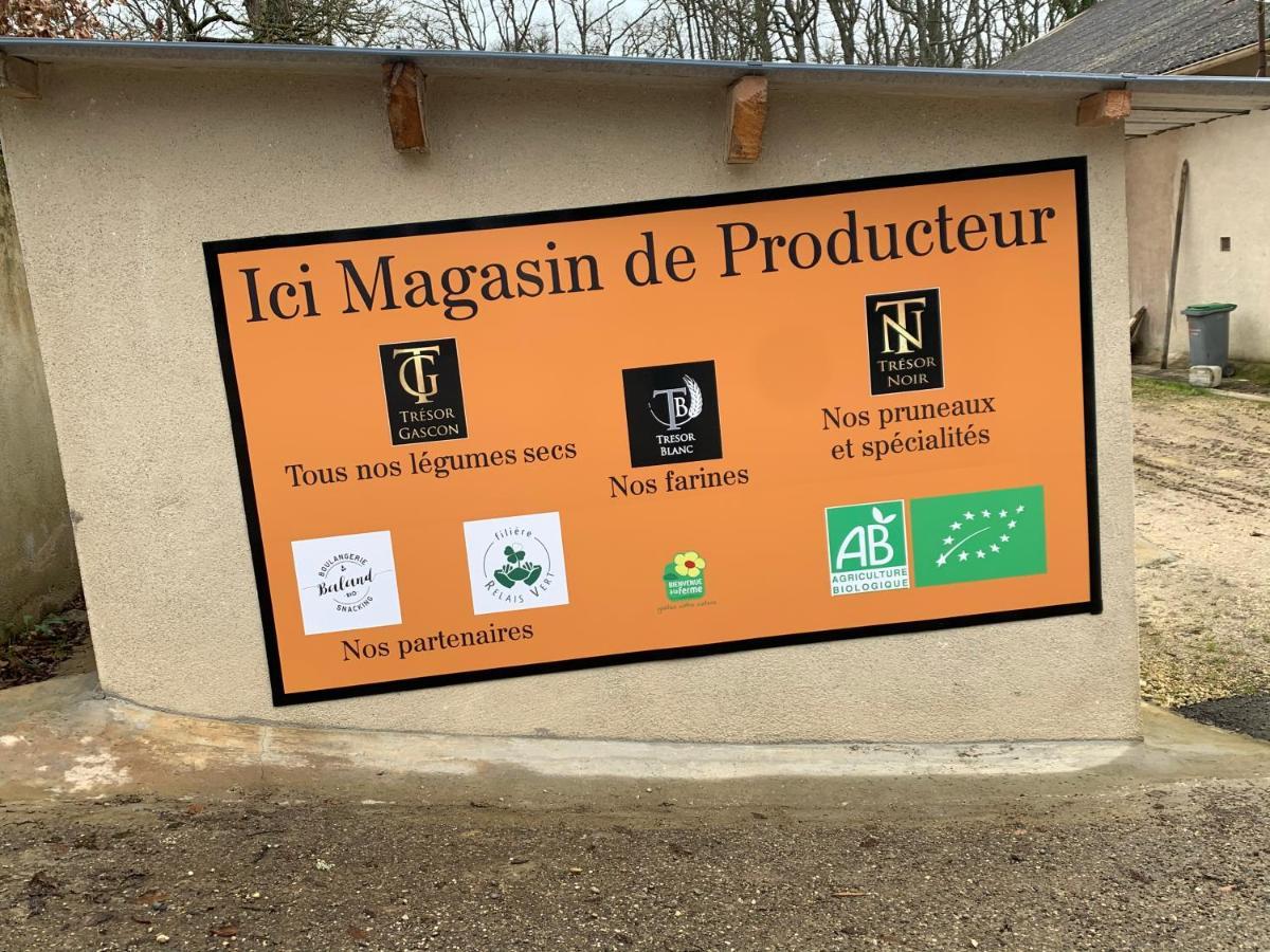 Gite De Beausoleil La Romieu Kültér fotó